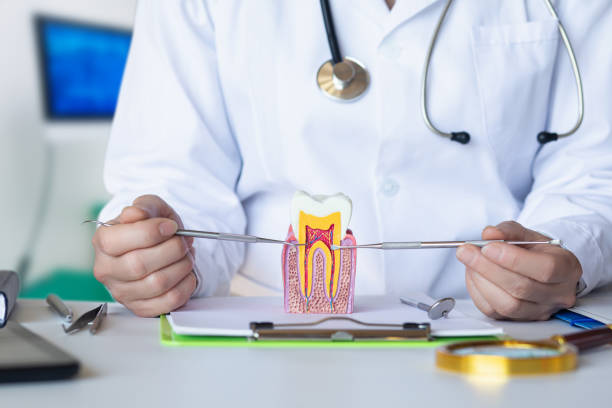Best Emergency Orthodontic Repairs in Garnett, KS